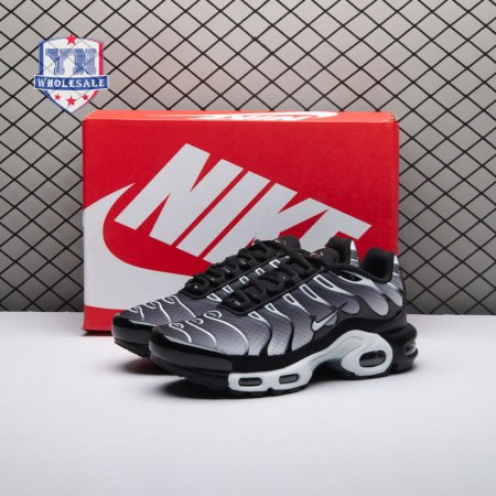 Nike Air Max Plus Black Silver White DM0032-003 Unisex